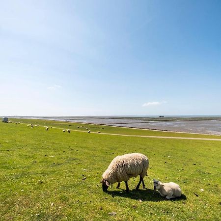 Hotel, Restaurant, Cafe Pharisaeerhof - Nordseeurlaub Mit Hund นอร์ดชตรันด์ ภายนอก รูปภาพ