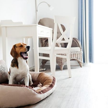 Hotel, Restaurant, Cafe Pharisaeerhof - Nordseeurlaub Mit Hund นอร์ดชตรันด์ ภายนอก รูปภาพ