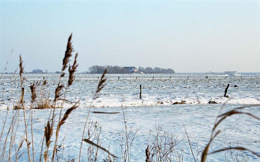 Hotel, Restaurant, Cafe Pharisaeerhof - Nordseeurlaub Mit Hund นอร์ดชตรันด์ ภายนอก รูปภาพ