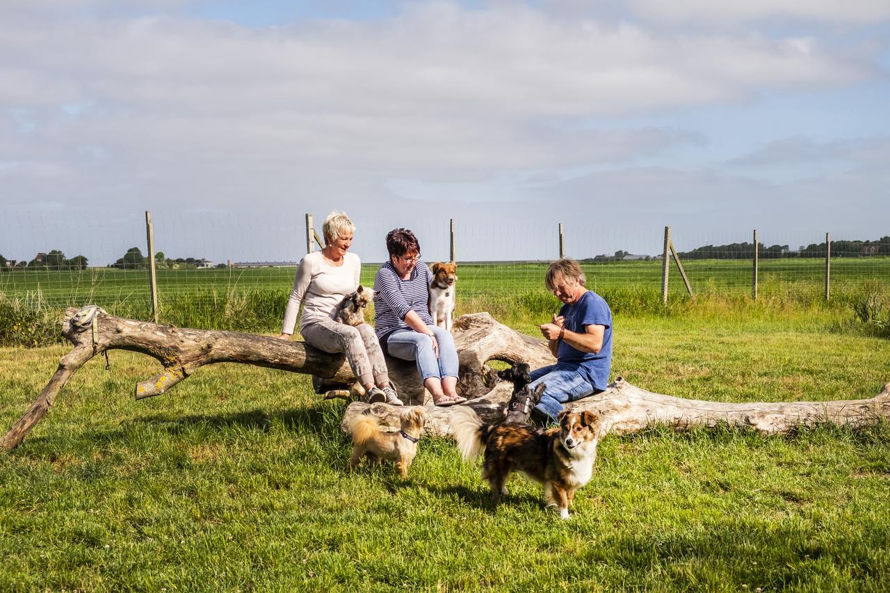 Hotel, Restaurant, Cafe Pharisaeerhof - Nordseeurlaub Mit Hund นอร์ดชตรันด์ ภายนอก รูปภาพ
