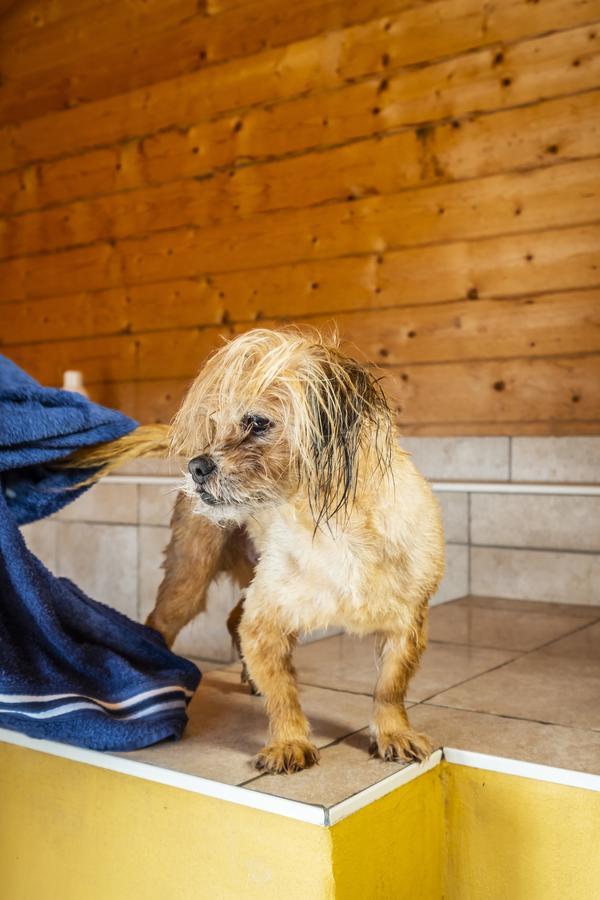 Hotel, Restaurant, Cafe Pharisaeerhof - Nordseeurlaub Mit Hund นอร์ดชตรันด์ ภายนอก รูปภาพ